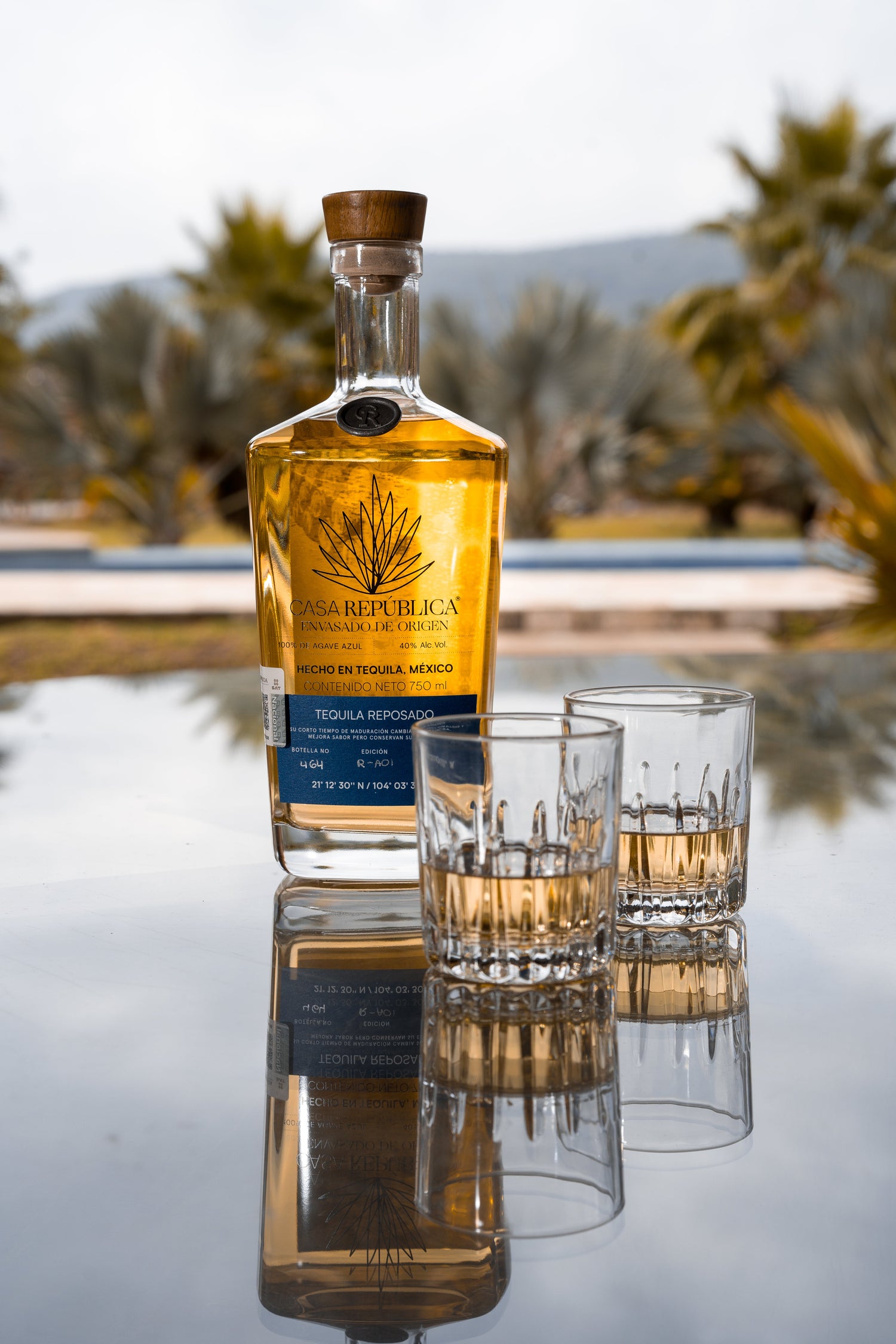 Tequila and Mezcal